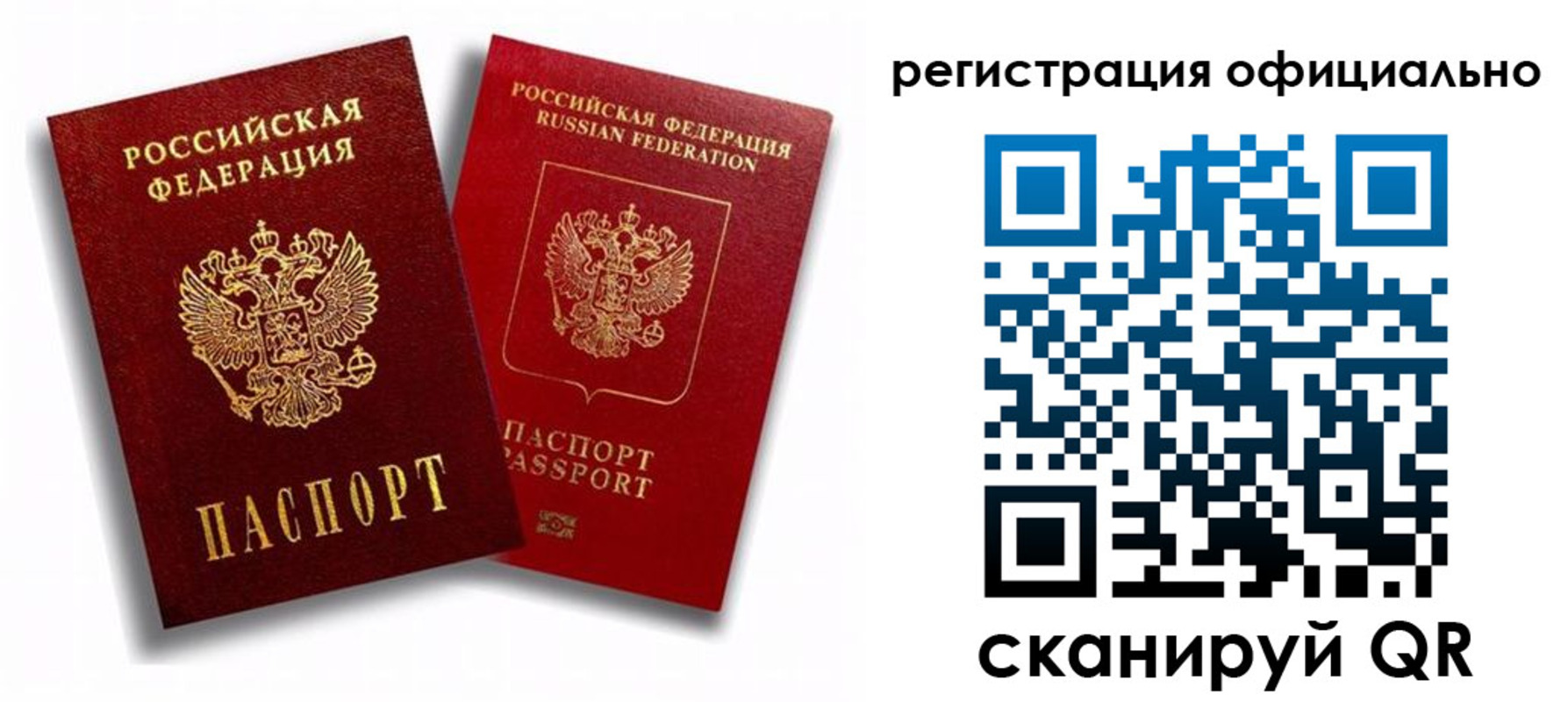 временная регистрация в квартире в Курской области